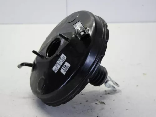 Rembekrachtiger-7729086