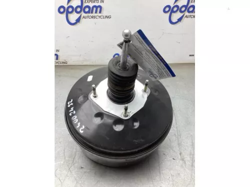 Rembekrachtiger-8270114