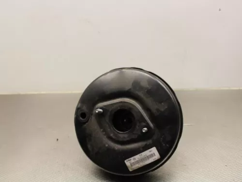 Rembekrachtiger-7889381