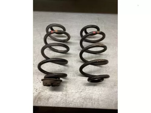 Schroefveer achter-7717562