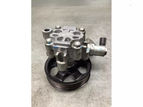 Stuurbekrachtiging Pomp-8101570