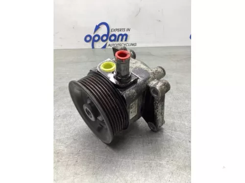 Stuurbekrachtiging Pomp-8105060