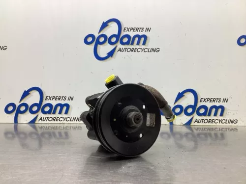 Stuurbekrachtiging Pomp-8146583