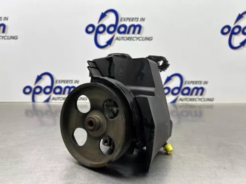 Stuurbekrachtiging Pomp-8315931