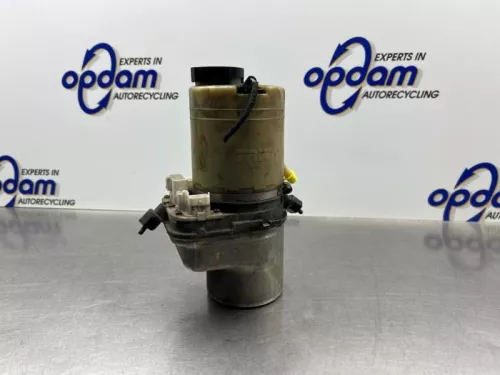 Stuurbekrachtiging Pomp-8321576