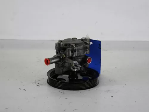 Stuurbekrachtiging Pomp-7887200