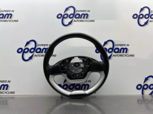 Stuurwiel-8298840