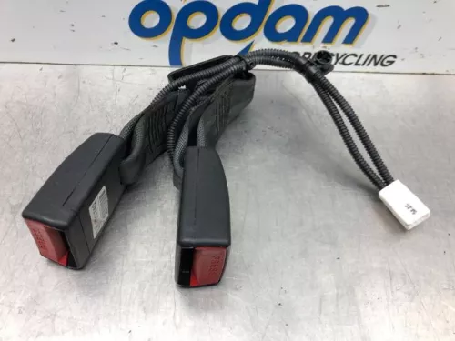 Veiligheidsgordel Insteek links-achter-6595853