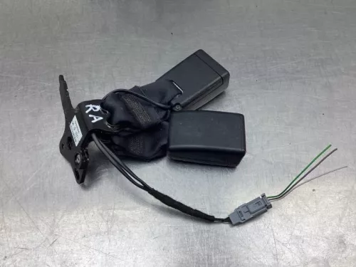 Veiligheidsgordel Insteek rechts-achter-7930369