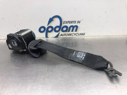 Veiligheidsgordel links-achter-8120733