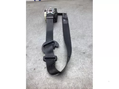 Veiligheidsgordel links-achter-8230416