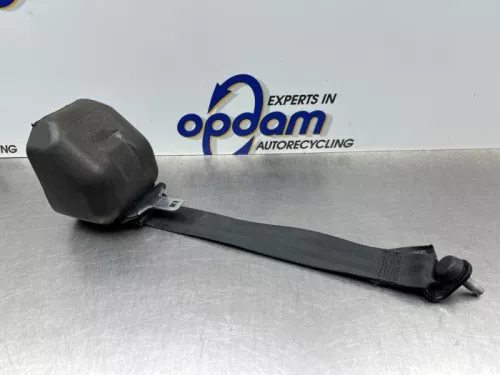 Veiligheidsgordel links-achter-8151114