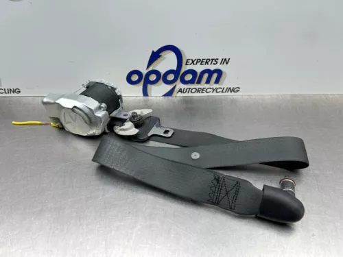 Veiligheidsgordel links-voor-8188069