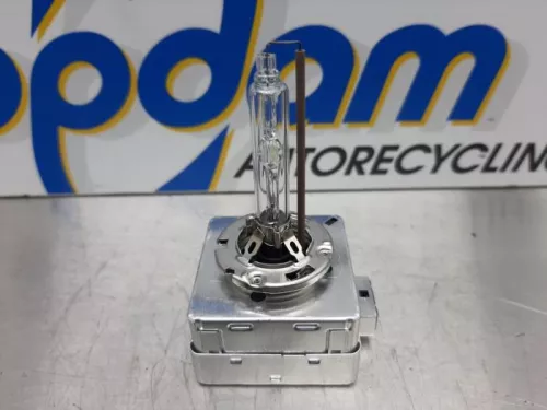 Xenon Starter-7319915