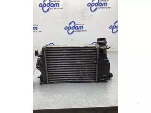 Intercooler-8106532