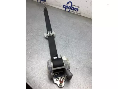 Veiligheidsgordel links-voor-7879906