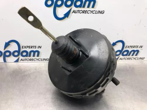 Rembekrachtiger-7609724