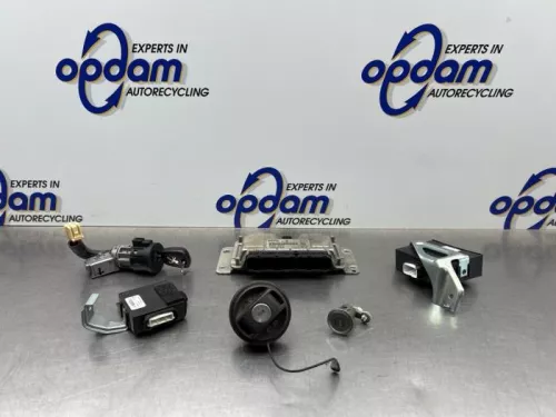 Computer Motormanagement-8295403