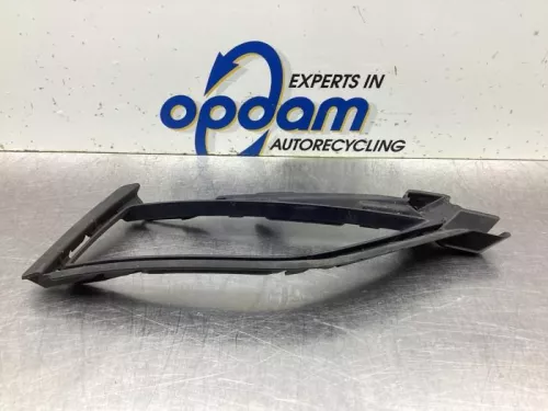 Afdekplaat mistlamp rechts-8121988