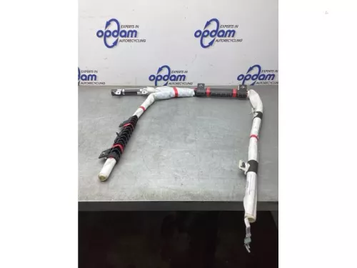 Airbag hemel rechts-8192977