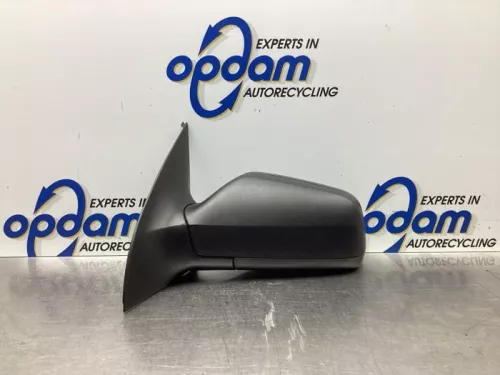 Buitenspiegel links-7941328