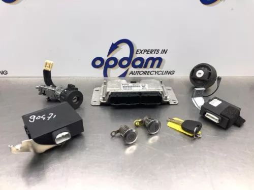 Computer Motormanagement-8160326