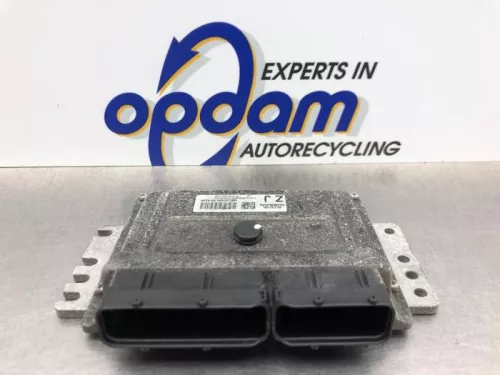 Computer Motormanagement-8189454