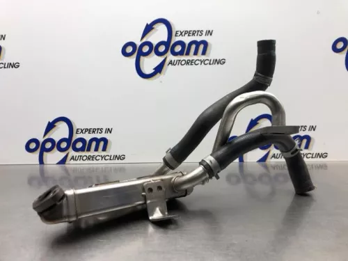 EGR koeler-8200579
