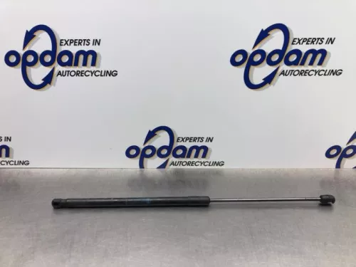 Gasdemper Motorkap links-8156832