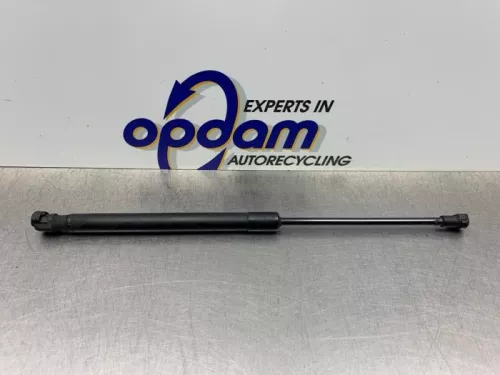 Gasdemper Motorkap links-8279371