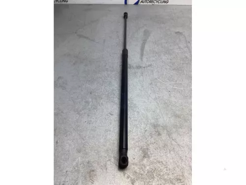 Gasdemper Motorkap links-7981015