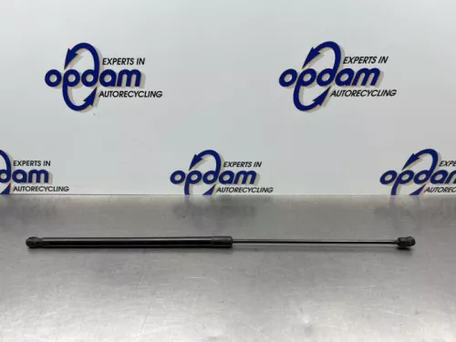 Gasdemper Motorkap rechts-8172419