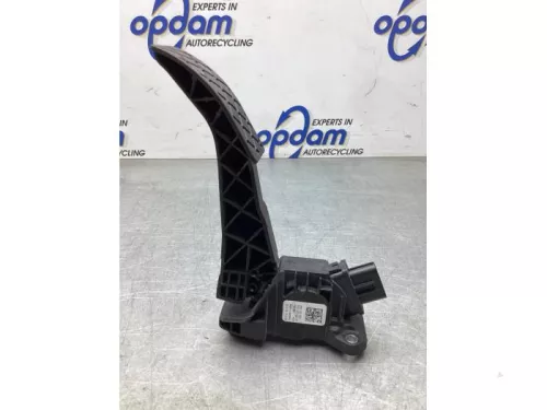 Gaspedaalpositie Sensor-8116114