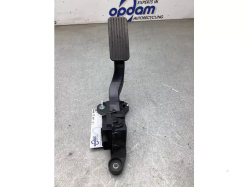 Gaspedaalpositie Sensor-8208882