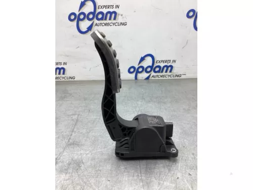 Gaspedaalpositie Sensor-8156906