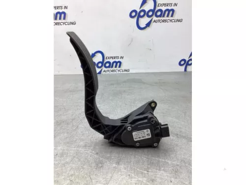 Gaspedaalpositie Sensor-8048465