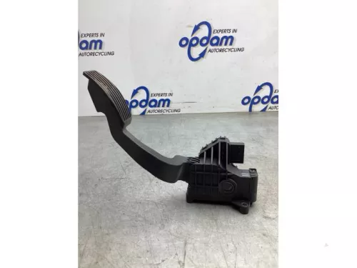 Gaspedaalpositie Sensor-8127200