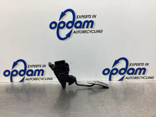 Gaspedaalpositie Sensor-7913315