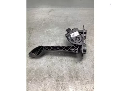 Gaspedaalpositie Sensor-8061863