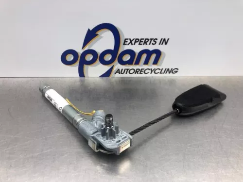 Gordelspanner links-8136407