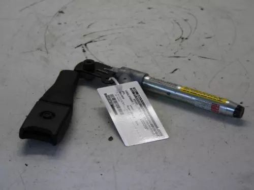 Gordelspanner links-7881857