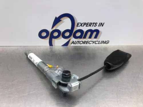 Gordelspanner rechts-8136407