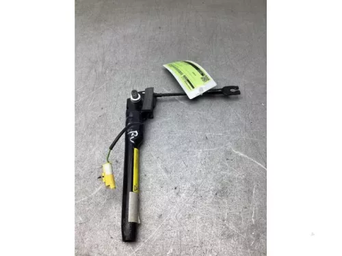 Gordelspanner rechts-8254144