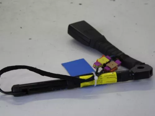 Gordelspanner rechts-7882567