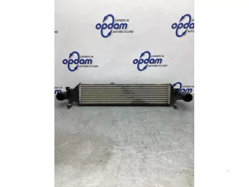 Intercooler-8117442