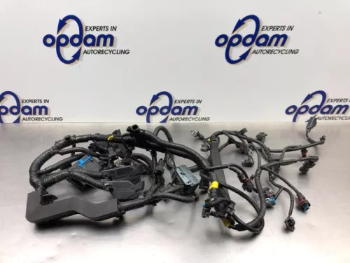 Kabelboom motorruimte-8079069